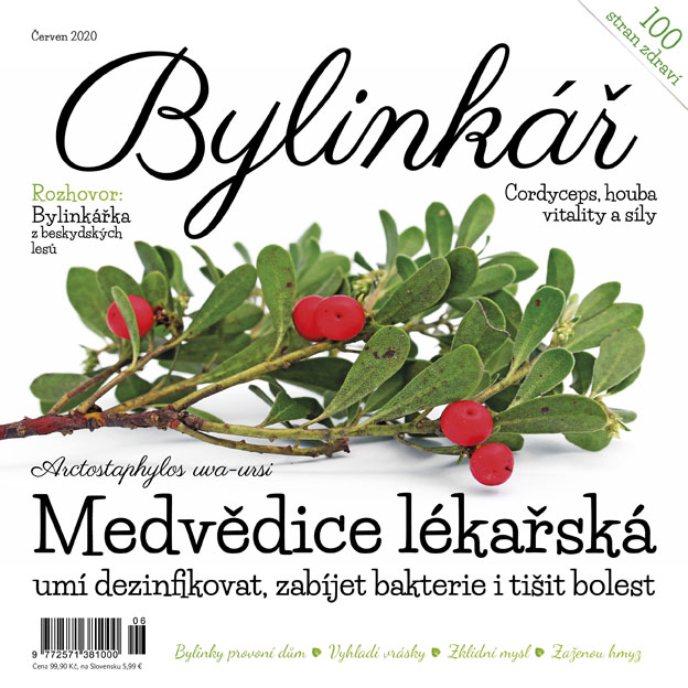 Bylinkář 6/2020 - Medvědice lékařská