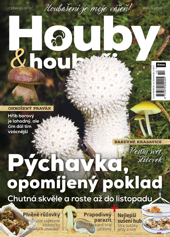 Houby a houbaři 10/2018 - Pýchavka, opomíjený poklad
