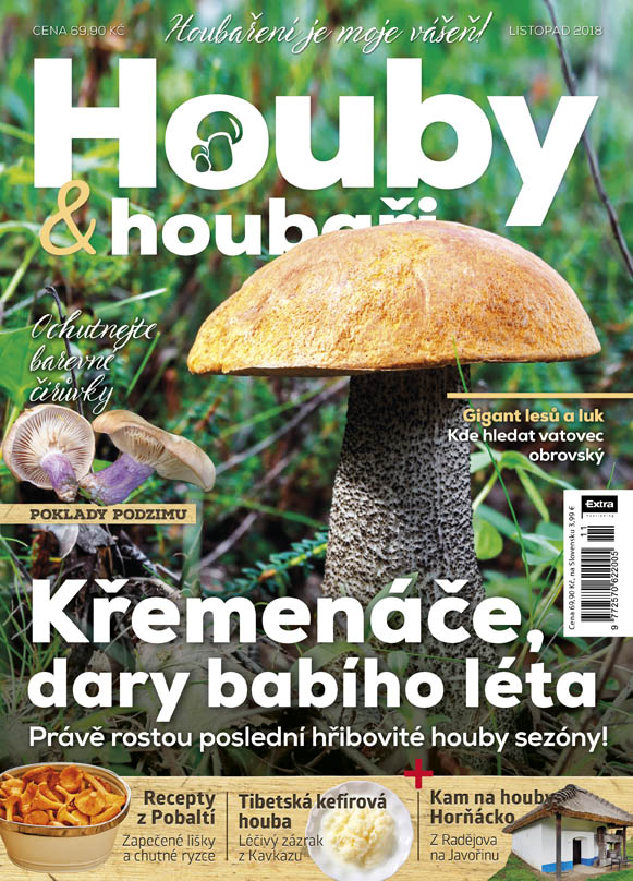 Houby a houbaři 11/2018 - Křemenáče, dary babího léta