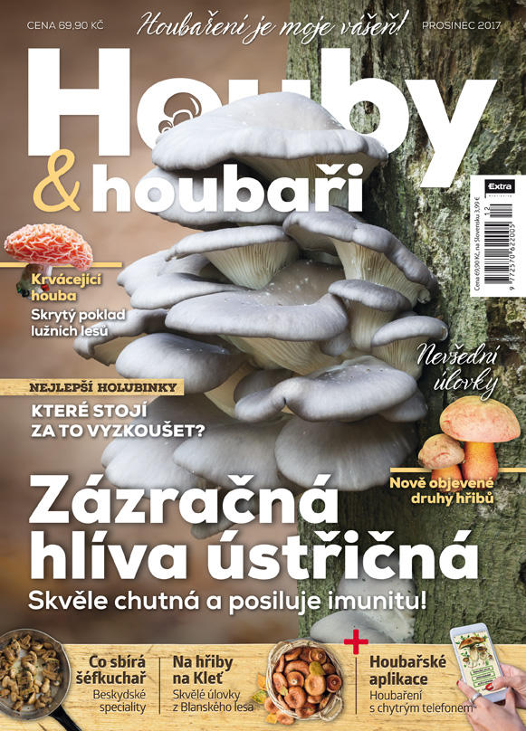 Houby a houbaři 12/2017 - Zázračná hlíva ústřičná