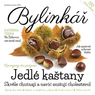 Bylinkář listopad-prosinec 2021 - Jedlé kaštany